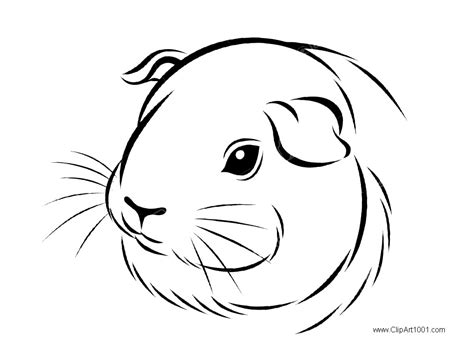 Guinea Pig Coloring Pages Printable
