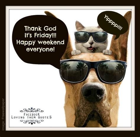 A Dog And Cat Wearing Sunglasses With The Caption Thank God Its Friday