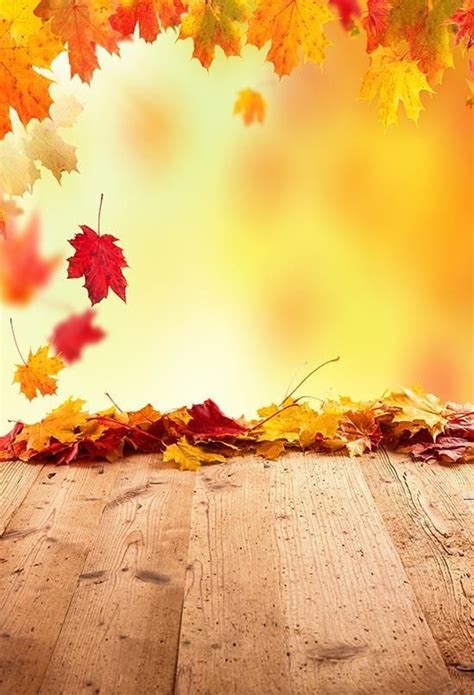 Autumn Yellow Maple Leaf Backdrops For Photography S 3136 Photography
