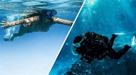 Snorkelling Vs Scuba Diving Similarities And Differences Dive Andaman