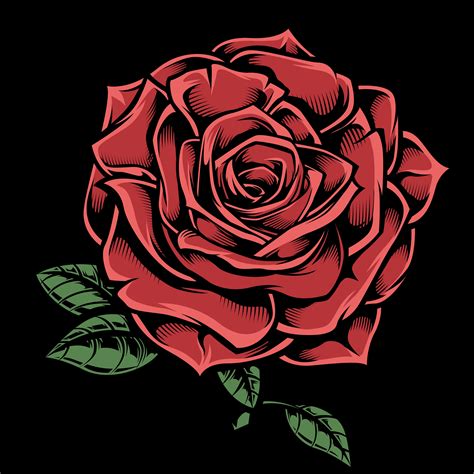 Hand Drawn Red Rose On Black 1180603 Vector Art At Vecteezy