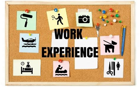 Impact Of Work Experience 16 Varied Examples And Why Its So Important