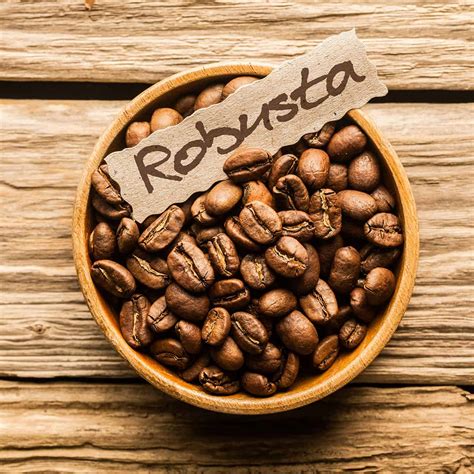 arabica  robusta coffee    difference craft coffee guru