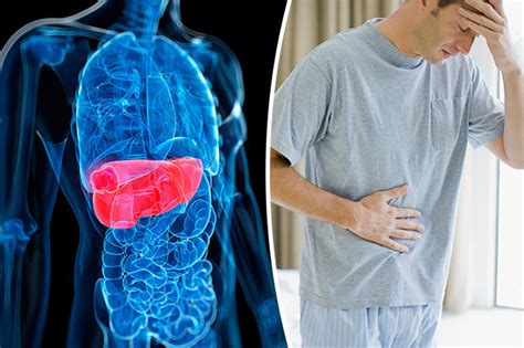 Cancer is also the leading cause of death in dogs over age 10. Liver cancer symptoms: Eight warning signs you should ...
