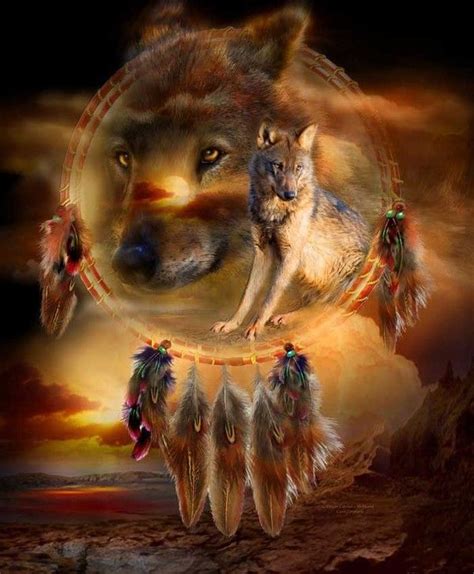 Images Loups Native American Wolf Wolf Dreamcatcher Beautiful Wolves