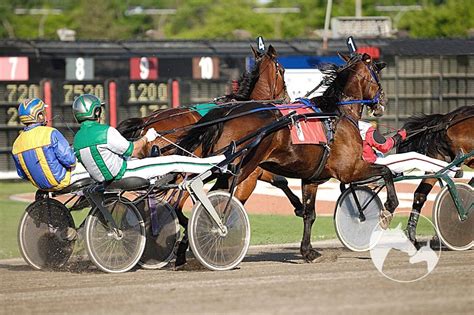13 Interesting Facts About Harness Racing