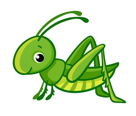 Clip Art Grasshopper 20 Free Cliparts Download Images On Clipground 2024