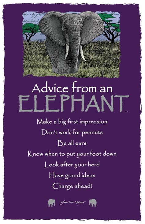 Pin by Windie King on Advice from.... | Elephant quotes, Advice quotes