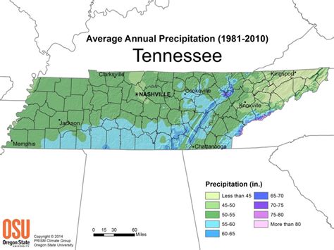 Precipitation Tennessee Climate