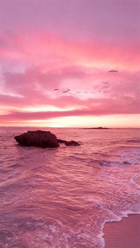 Pink Sunset Happy Picture Backgrounds Nak98