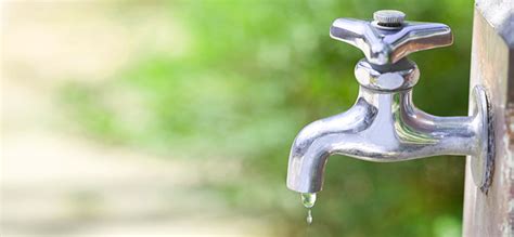 Water Saving Tips From Permaculture Health And Wellness Spec Savers