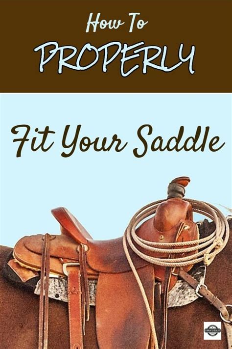 You'll have enough space to jump under the covers from both sides. Does My Saddle Fit My Horse? 4 Basic Steps ⋆ How To Fit ...