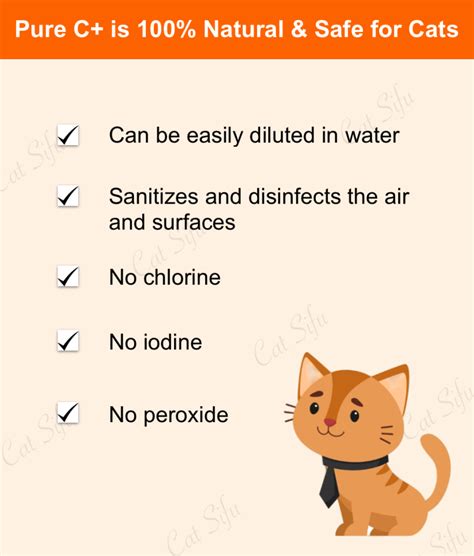 Effective Treatments For Cat Skin Conditions What Every Cat Owner