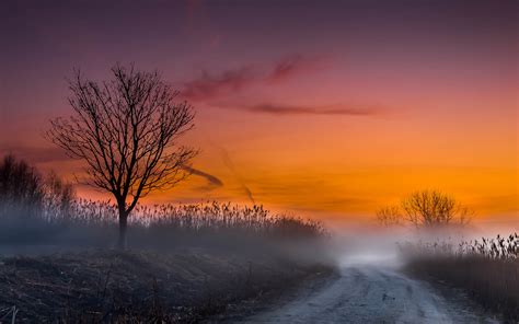 Nature Landscapes Fog Mist Morning Sunrise Sunset Road Skies Wallpaper
