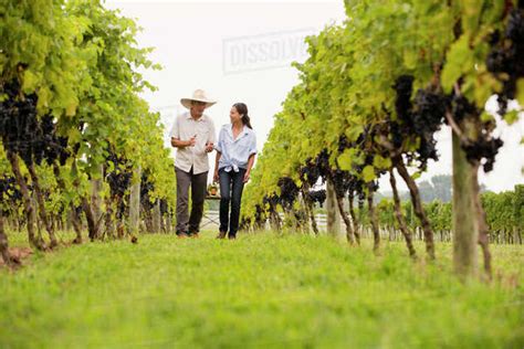 Farmers Talking In Vineyard Stock Photo Dissolve