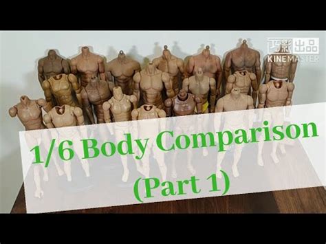 1 6 Base Body Comparison PART 1 English YouTube