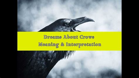 14 Dreaming About Crows Meaning And Interpretation Youtube
