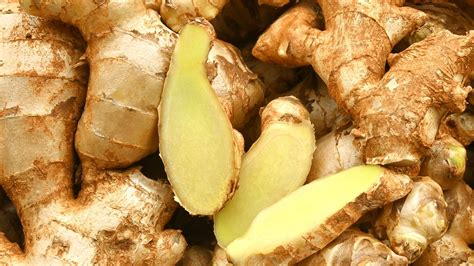 Culinary Ginger Plants Everything To Know Before Planting