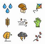 Autumn Icons Elements Fall Flaticon Icon Packs