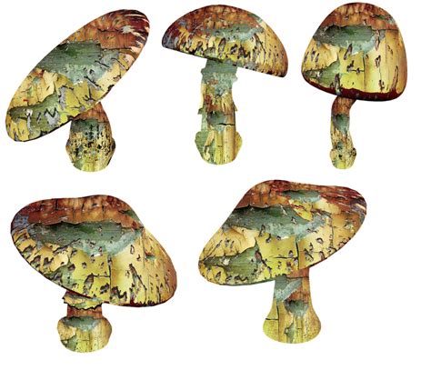 Magic Mushrooms 2 Png By Mysticmorning On Deviantart