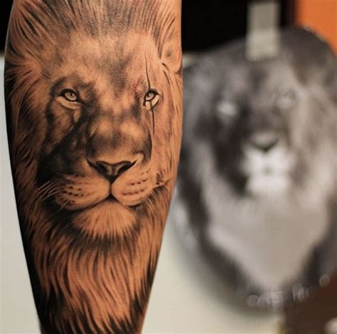 70 Lion Tattoo Designs You Must See Mens Craze