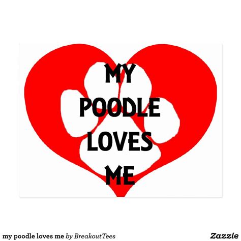 My Poodle Loves Me Postcard Poodles Business Supplies Party Hats Funny Cute Cute Hairstyles