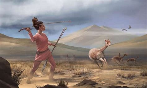 Prehistoric Women Hunted Big Game Alongside Men Uc Davis Researchers