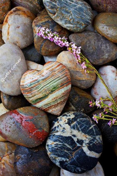 So Pretty With Images Heart In Nature Stone Heart Heart Shaped Rocks