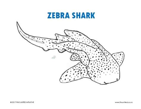 Zebra Shark Coloring Page