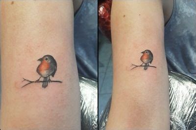 Pin by Kimberly Ames on My Style | Robin tattoo, Tattoos ...