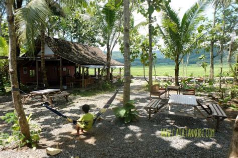 Selain lewat aplikasi myindihome, pelanggan juga bisa menggunakan website resmi indihome di alamat www.indihome.co.id sebagai cara cek tagihan. Geblek Pari, Jogja - Warung Pinggir Sawah Dengan Sajian Khas Pedesaan Kulonprogo - Catatan Nobi