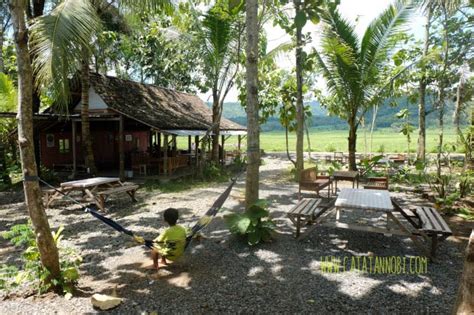 Hingga akhirnya layanan mereka diputus secara. Geblek Pari, Jogja - Warung Pinggir Sawah Dengan Sajian Khas Pedesaan Kulonprogo - Catatan Nobi