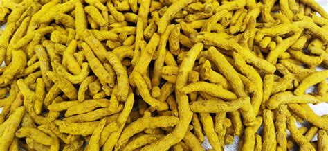 Export Quality Double Polished Dry Turmeric Finger At Rs 95 Kg Haldi