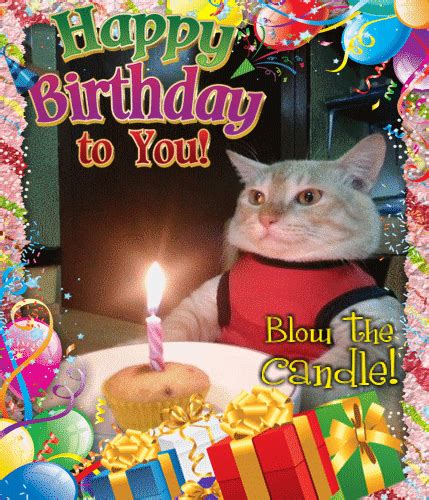 Funny Birthday Cat Blows The Candle Free Funny Birthday