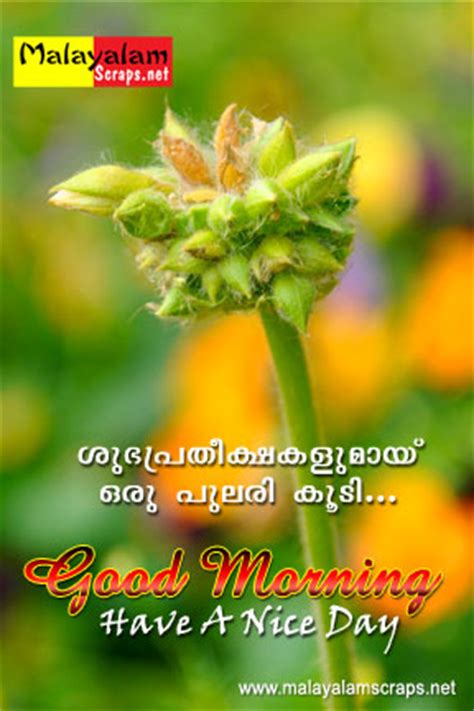 Some other ways to say good morning. The gallery for --> Malayalam Scraps Good Morning