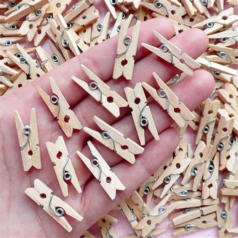 Mini Clothespins Small Wooden Clothes Pins Tiny Clothespegs Litt