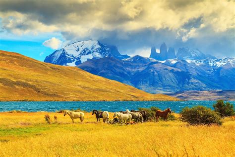 Patagonia Countryside And Our Horses For The Day Patagonia Travel