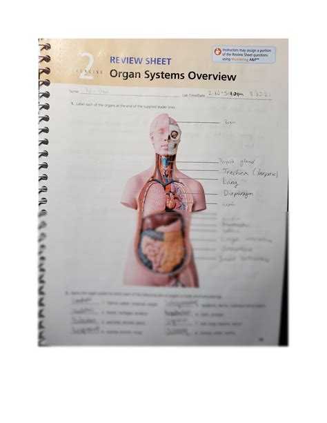 Solution Exercise 2 Review Sheet Organ System Kyle Danh Studypool