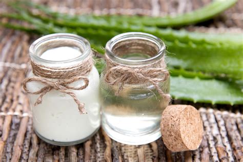 Fresh And Organic Aloe Vera Stock Image Image Of Jelly Fresh 65278653