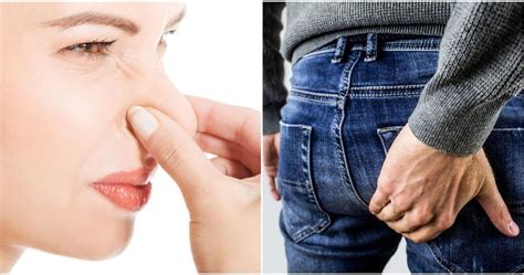 Why Womens Farts Smell Worse Than Mens And Other Surprising Fart Facts