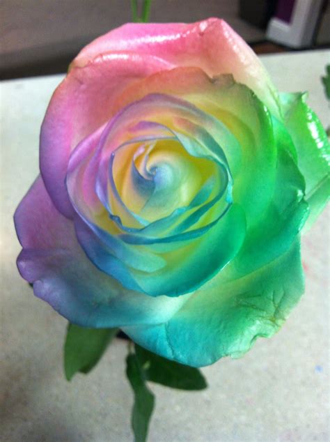 I used keda liquid dyes to make this high end blue wood stain. How Do You Dye Roses | Boros Rose
