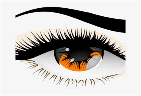 Brown Eyes Clipart Human Eye Eye PNG Image Transparent PNG Free