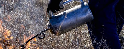 Drip torches facilitate effective prescribed burns – Noble Research