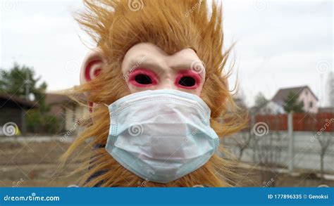 Monkey In Medical Mask Outdoors Looking Scared Shocked And Frustrated