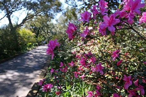 11 Beautiful Alabama Gardens To Visit This Spring