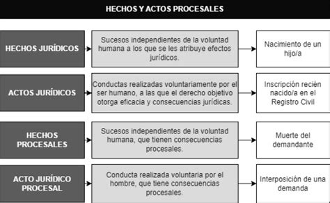 Esquema De Los Hechos Y Actos Procesales Vademecum Legal