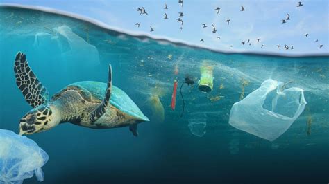Die Verschmutzung Der Ozeane Im Plastik Versunken Rtlde