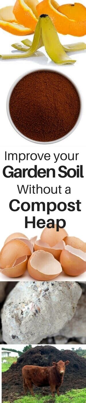 How to improve your soil. How to Improve Your Garden Soil Without a Compost Heap ...