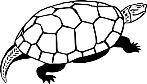 Tortoise Clip Art Black And White