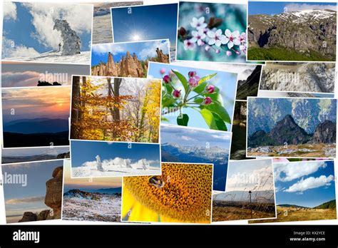 Top 100 Imagenes De Un Collage De La Naturaleza Smartindustrymx